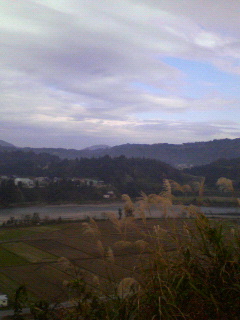 200711101125000.jpg